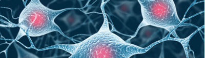 Servizi biomedicali Servizi biomedicali